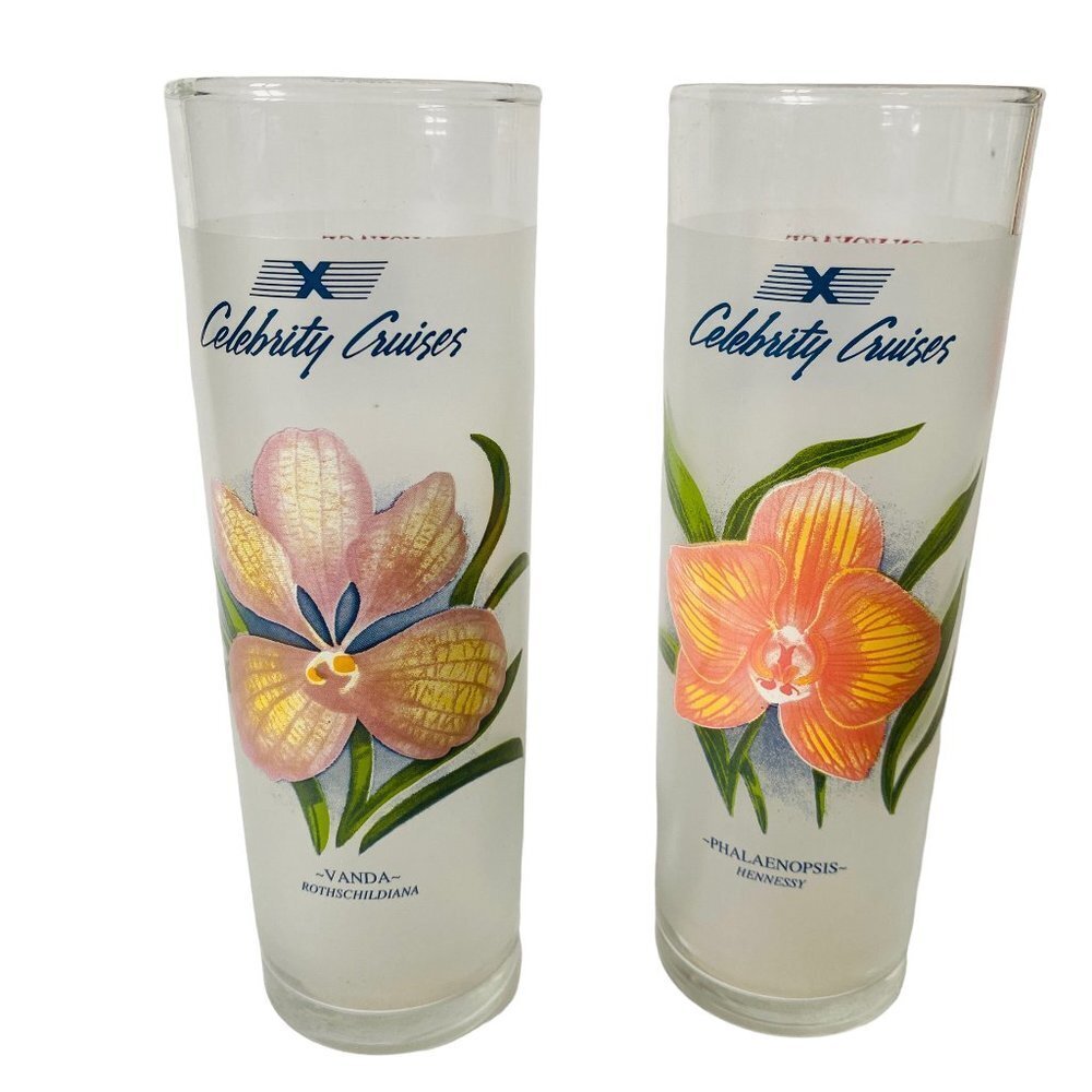 Vintage Celebrity Cruises Floral Frosted Cocktail Glasses - Set of 2